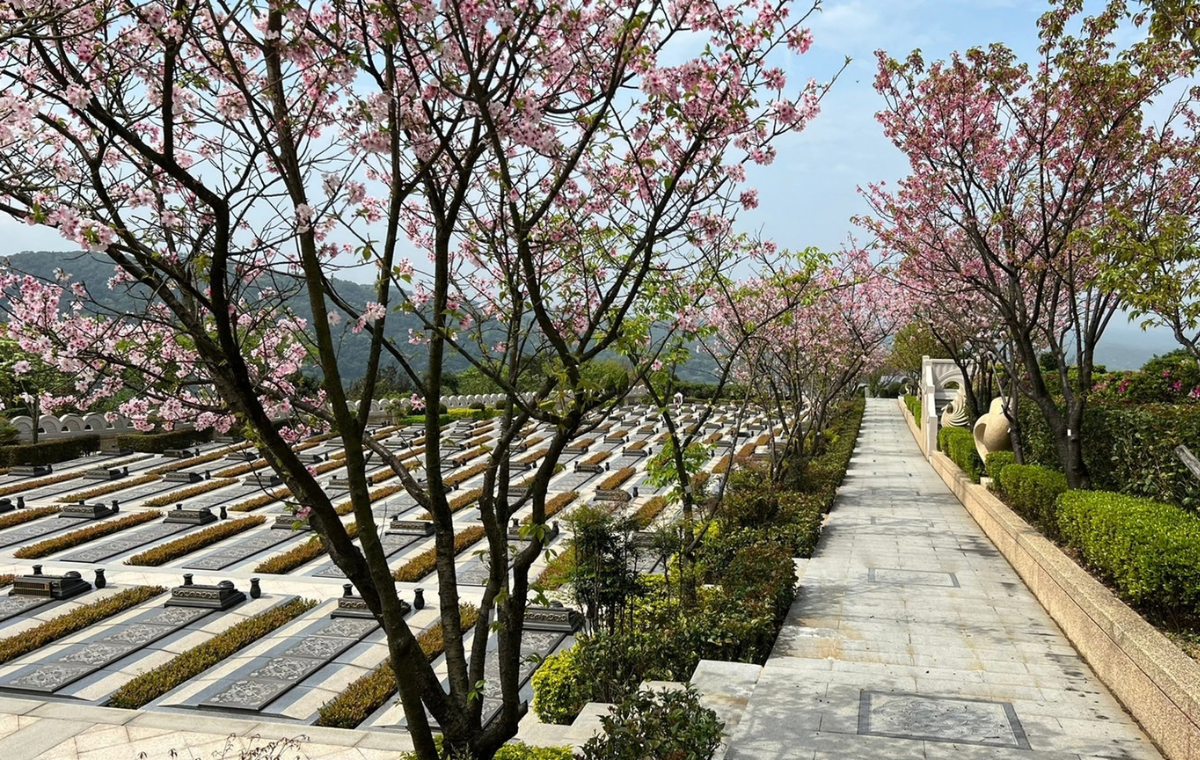 家族墓園步道與植栽景觀，方便長輩祭拜通行